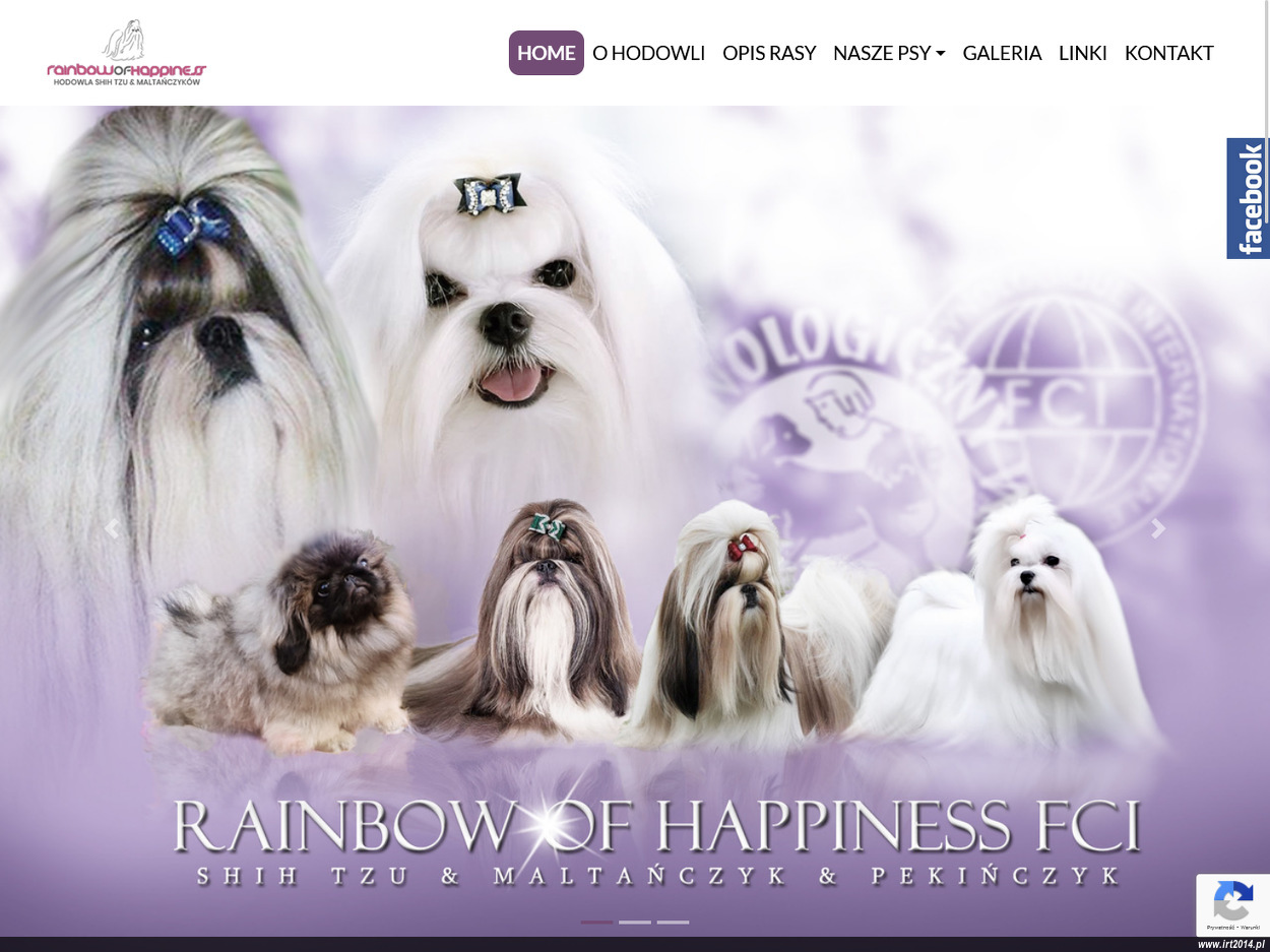 Rainbow Of Happiness