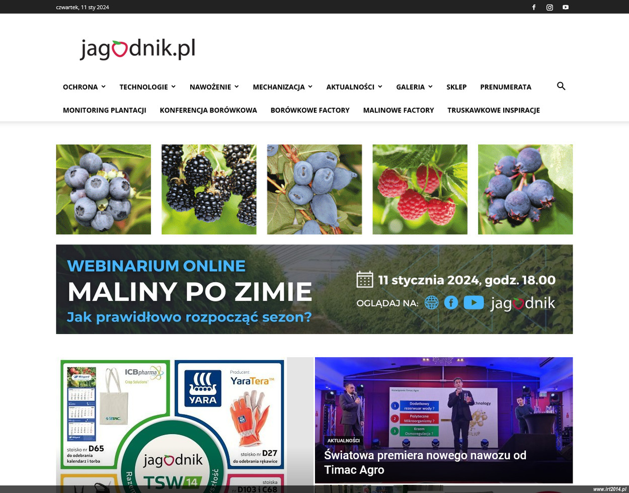 Jagodnik